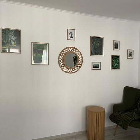 Carol Apartament'S Timisoara Ngoại thất bức ảnh
