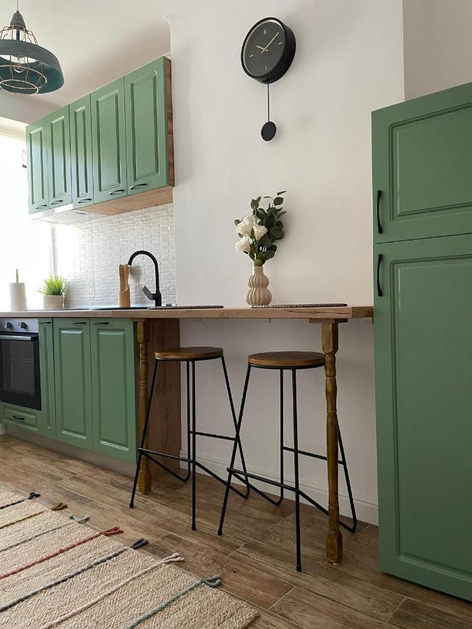 Carol Apartament'S Timisoara Ngoại thất bức ảnh