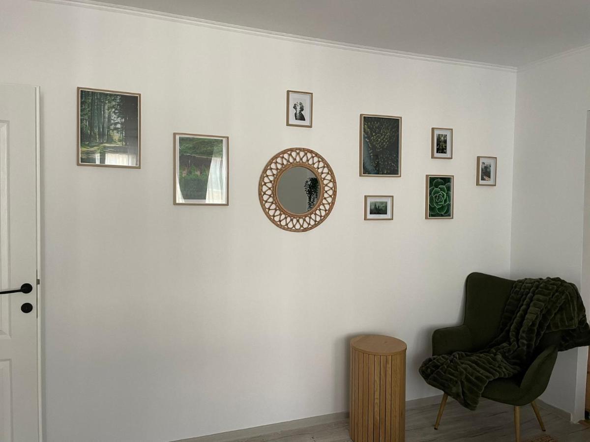 Carol Apartament'S Timisoara Ngoại thất bức ảnh